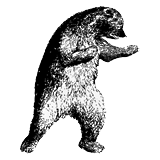A black and white drawing of a badger standing on their hind legs with a boxer's stance.