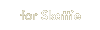 For Skattie