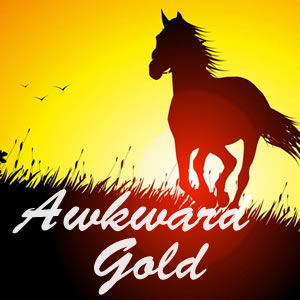 Shadow of a galloping horse with sun setting in the background. Sky is golden. The shadows of a couple of birds off in the distance. Grass or wheat is outlined. The words Awkward Gold are printed on top of the picture.